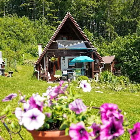 Emerald Bell - Smaragdni Zvonček *