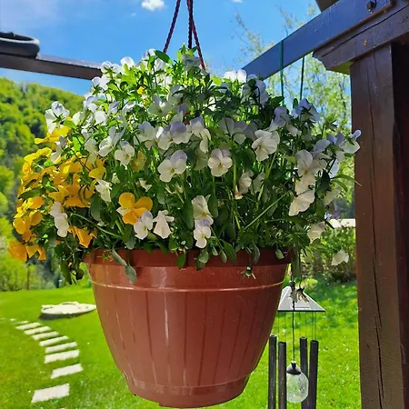 Emerald Bell - Smaragdni Zvoncek *